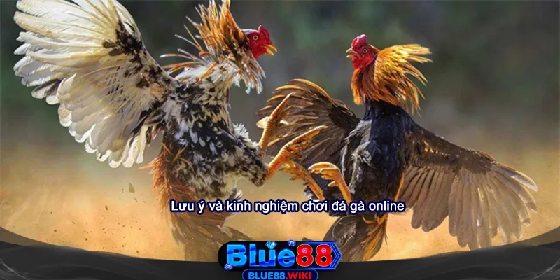 Lưu ý và kinh nghiệm chơi đá gà online