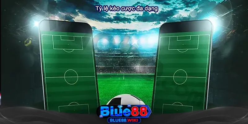 Kèo cược đa dạng và tỷ lệ cược hấp dẫn